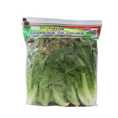 Frutas-y-Verduras-Verduras-Lechuga_7422332600933_1.jpg